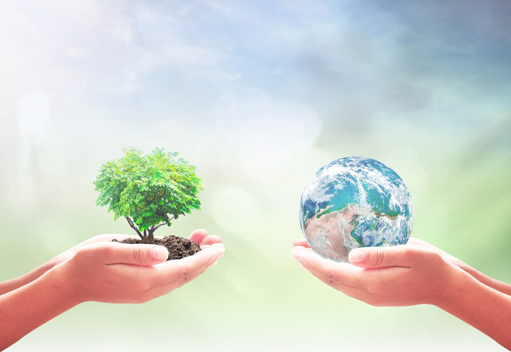 MBA Programs in Environment
